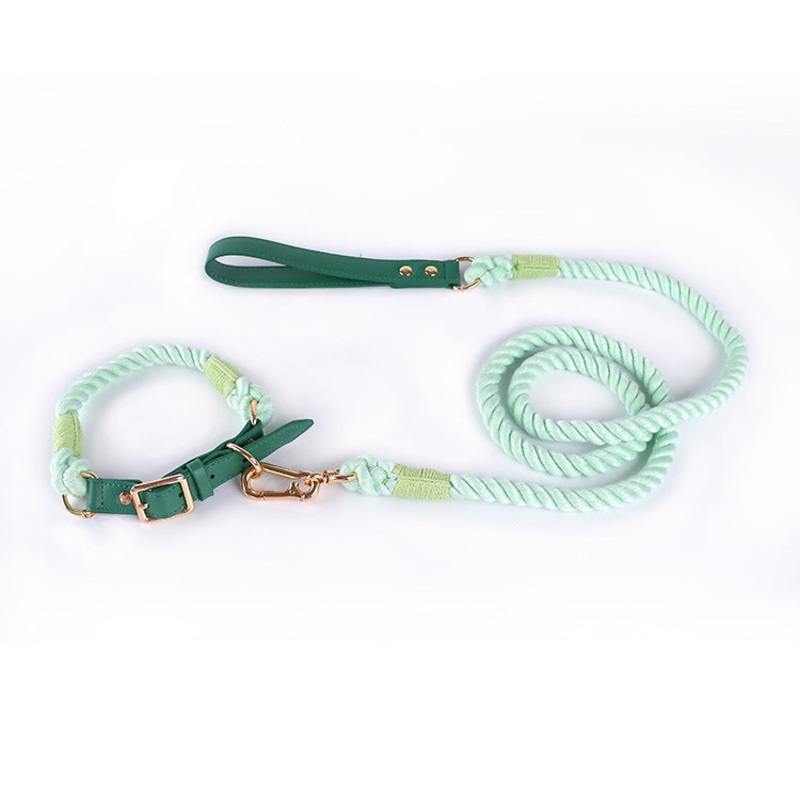 Premium Leather Pet Collar and Leash – Soft, Strong Braided Rope (Green – Size S)