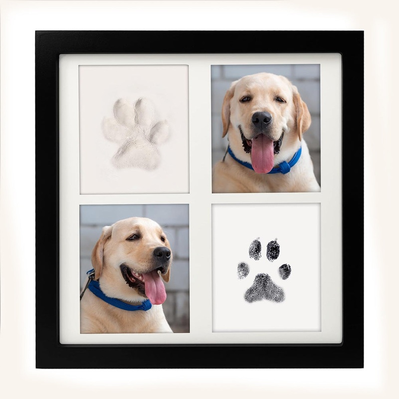 Black and White Pet Paw Print Keepsake Photo Frame Kit – Mess-Free Ink Pad for Dogs & Cats, Dual Photo & Print Display
