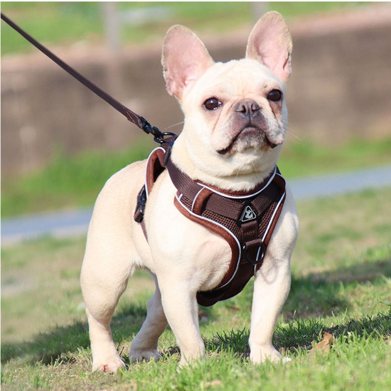 Brown Reflective Mesh Dog Harness and Leash Set – Adjustable No-Pull Vest – M