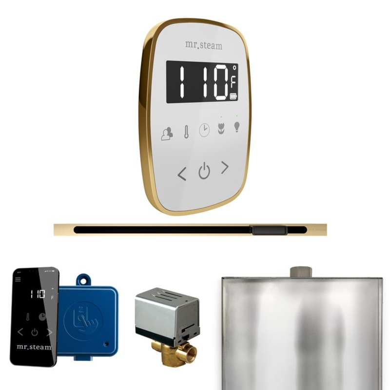 Steam Kit ButlerFlex Linear White/Polished Brass Control Package for MS90 to MSSUPER3