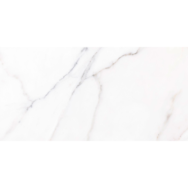 Zurich Pearl 24″ x 48″ Polished Porcelain Floor and Wall Tile