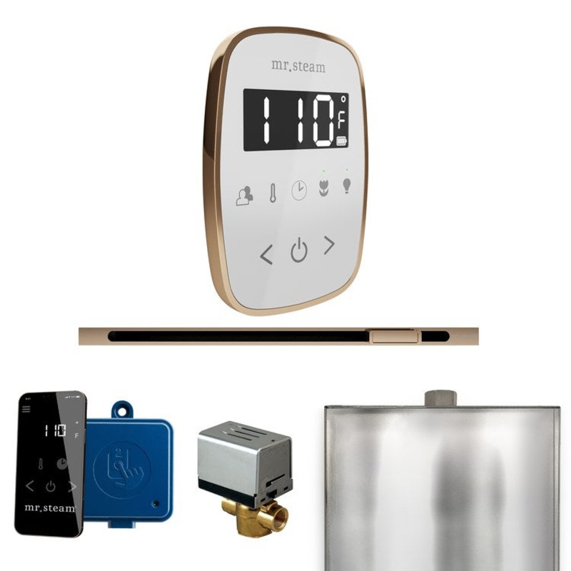 Steam Kit ButlerFlex Linear White/Polished Gold Control Package for MS90 to MSSUPER3