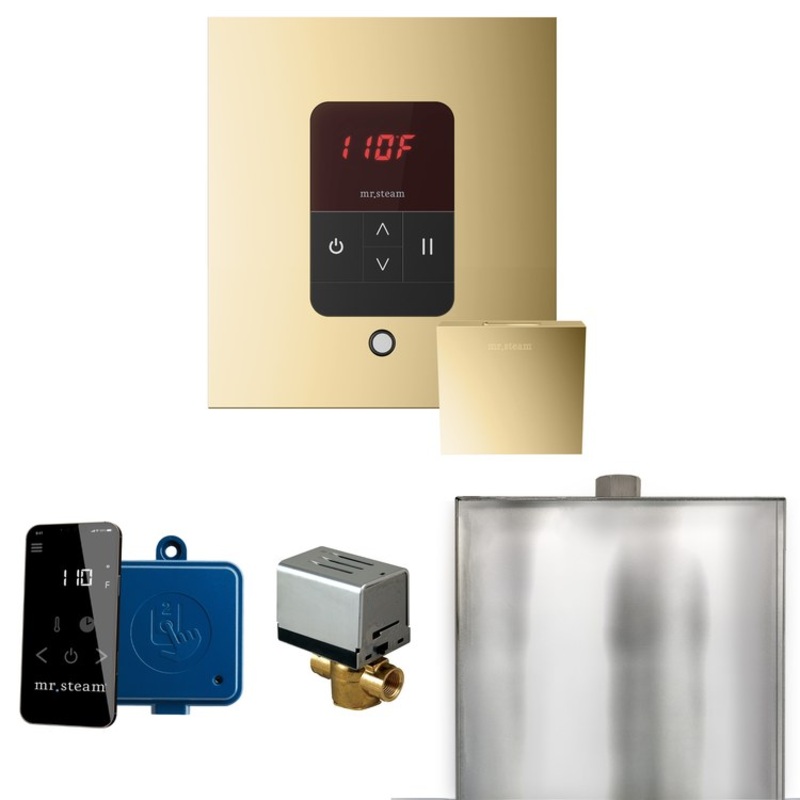 Steam Kit Basic Butler Polished Brass Control Package Square