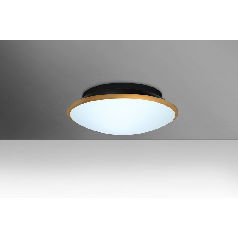 Two Light Ceiling Mount from the Silk 12 Collection by Besa
