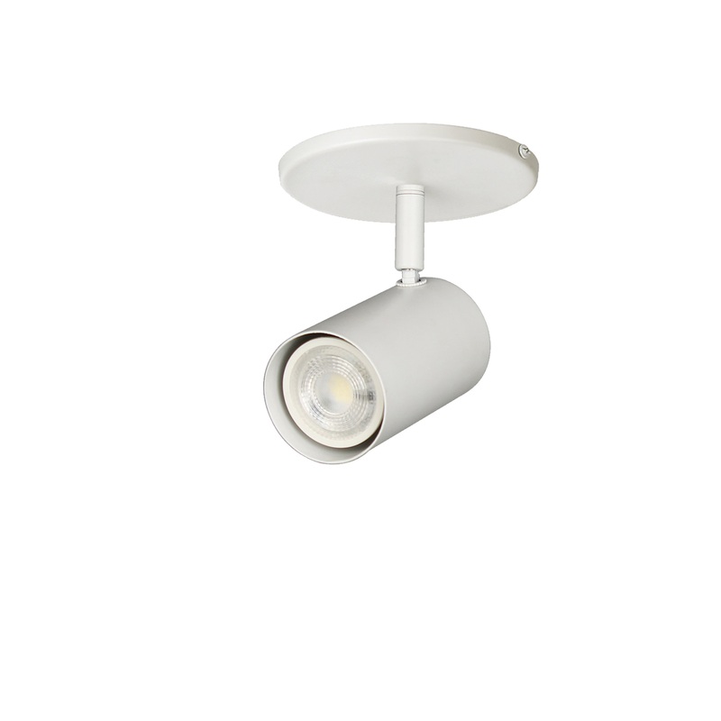 Taylor 1-Light Spot Light Matte White
