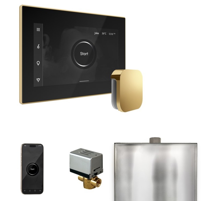 Steam Kit xButler Black/Polished Brass Control Package for MS90 to MSSUPER3