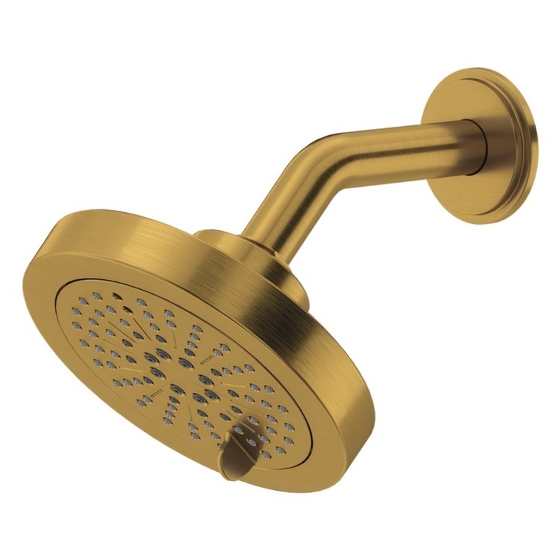 Showerhead 6 Functions with Arm Brushed Gold 5 Inch 1.5 Gallons per Minute Round with Swivel