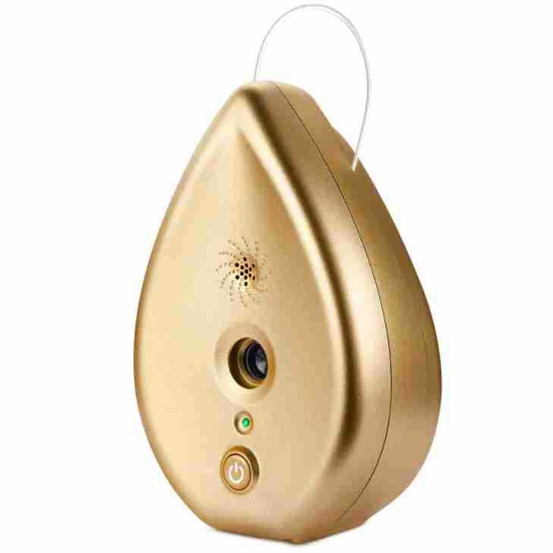 Gold Ultrasonic Anti-Barking Device – Automatic Dog Bark Control & Training Aid | Rechargeable, 3 Modes, 50ft Range