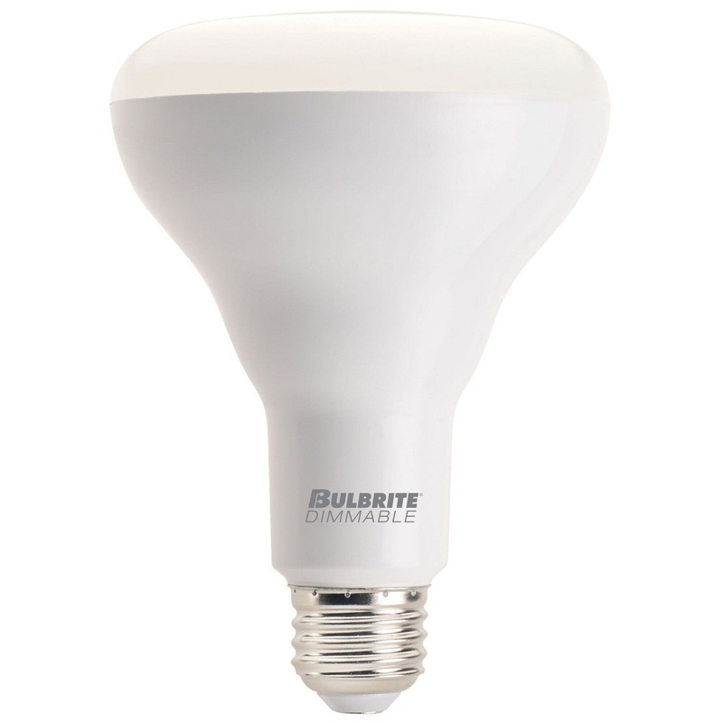 Bulbrite 772870 Reflector Frost