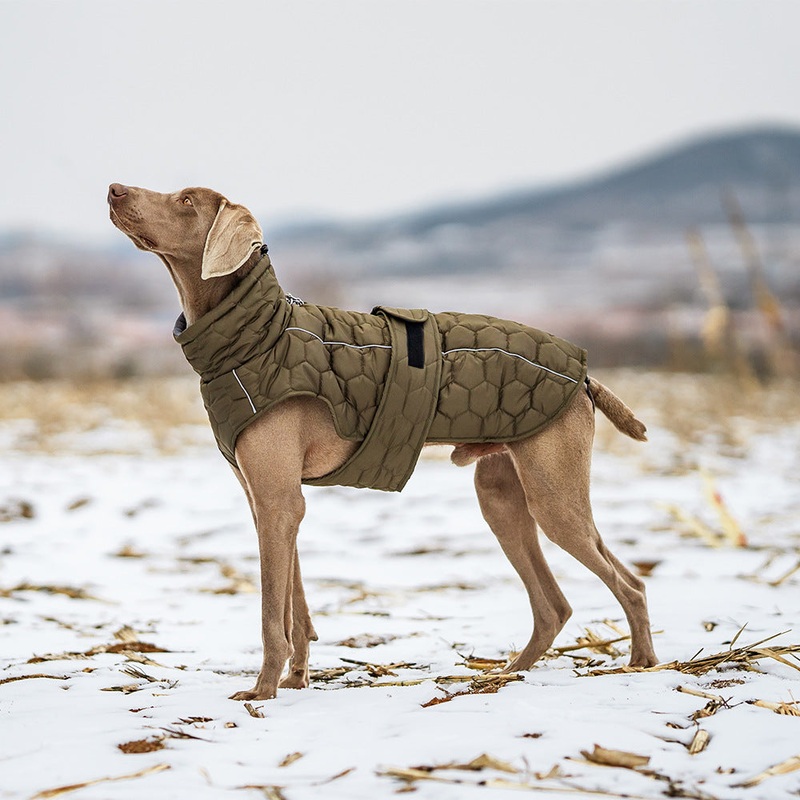 Size M Olive Green Warm Quilted Dog Winter Coat – Adjustable Fleece-Lined Puffer Vest with Reflective Trim & Leash Port
