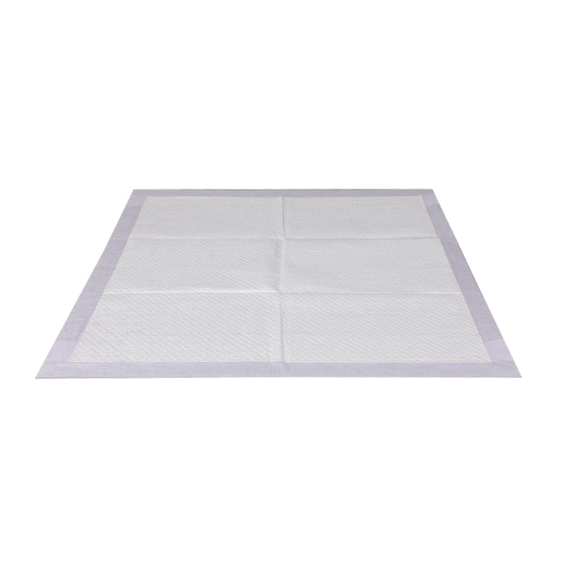 PaWz 100x Pet Dog Toilet Training Pad