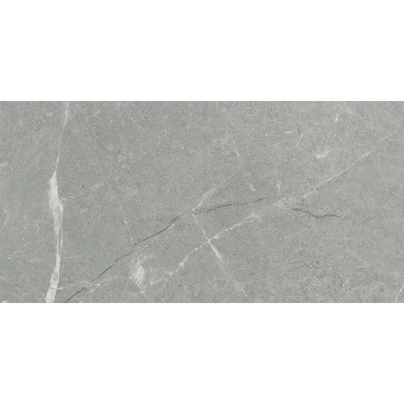 12″ x 24″ Torino Argento Matte Porcelain Tile 69-398