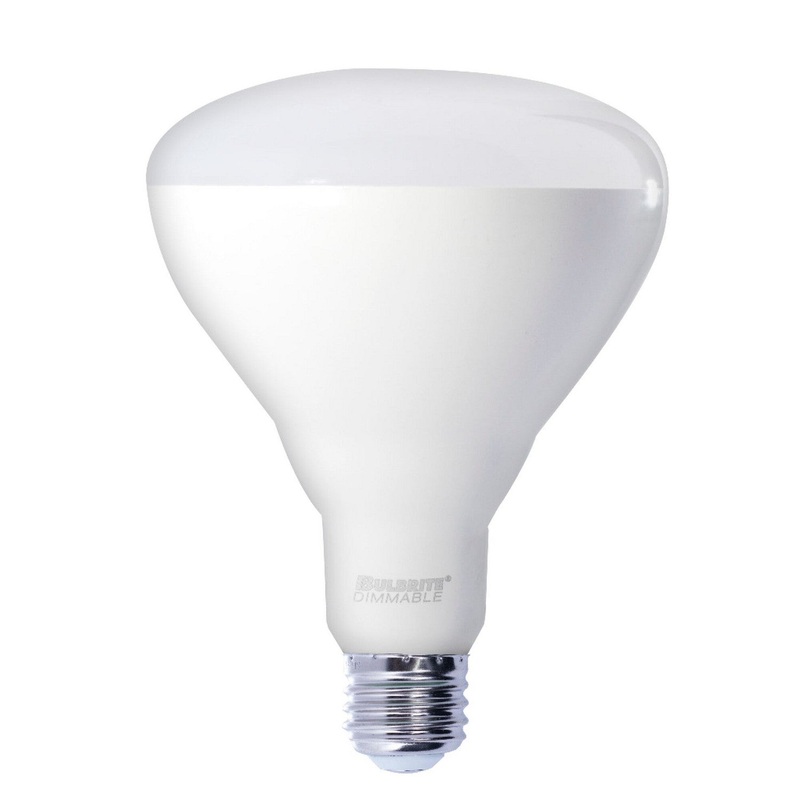 Bulbrite 772876 Reflectors Reflector Frost