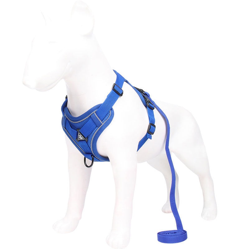 Blue Reflective Mesh Dog Harness and Leash Set – Adjustable No-Pull Vest – M