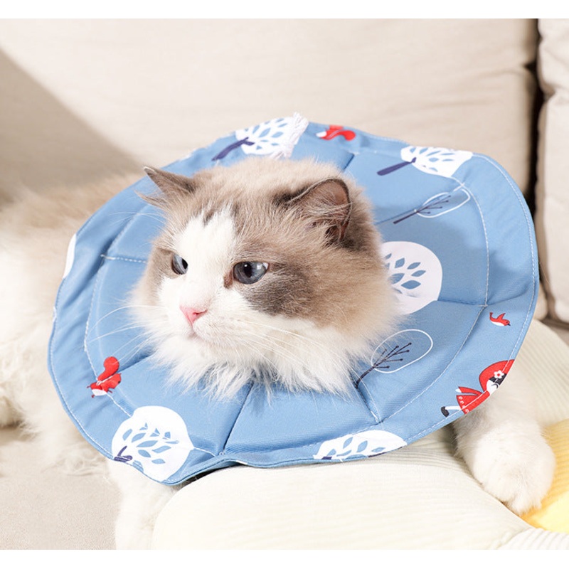 2 Pcs Size S Blue Comfortable Pet Recovery Collar | Waterproof Anti-Lick Collar for Cats & Dogs