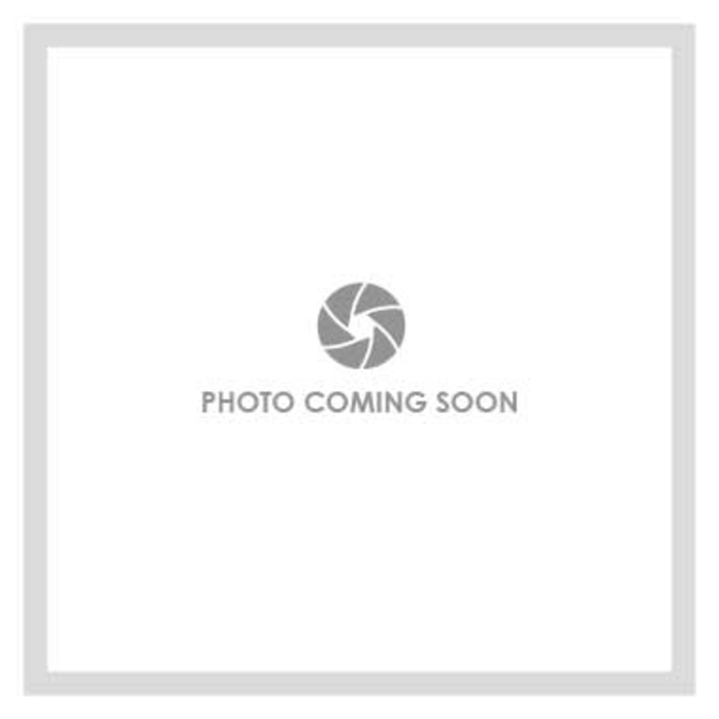 Handle Assembly 14 Series Lever Brilliance Stainless ADA 5 Inch