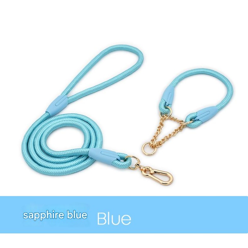 Blue Durable Nylon P-Collar Dog Training Set – Heavy Duty Leash & Martingale Collar (Size : S)